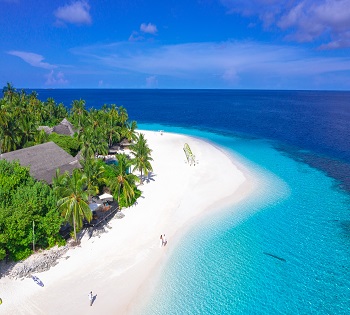 Tanzania trip safari from Zanzibar Beach Holiday tour